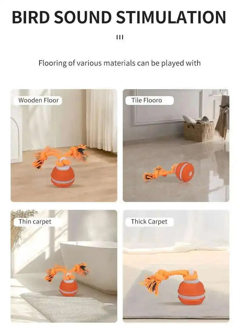 Interactive Teasing Ball With Motion Activated Automatic Moving Squeaky Dog Toy