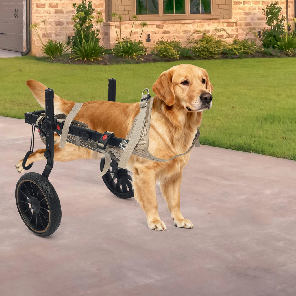 XL Pet Rehabilitation Walking Aid Stable and Reliable 2-wheel Dog Wheelchair
