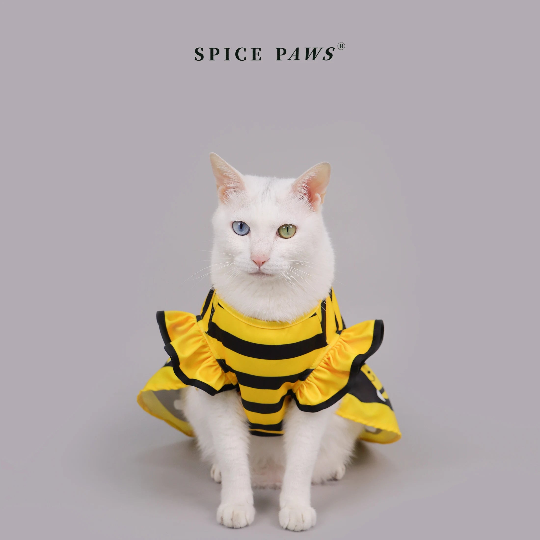 Dog Dress Cute Bee, Pet Bee Costumes, Yellow Cartoon Bumble Bee Stripes