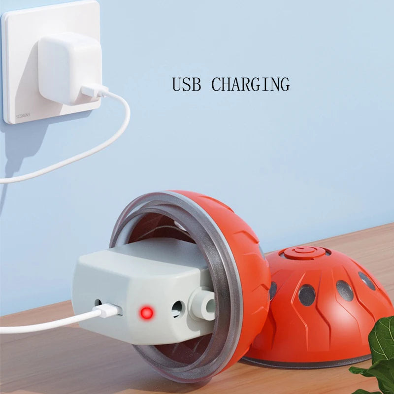 Pet Play Toy Ball, Electric Dog Ball, USB Rechargeable