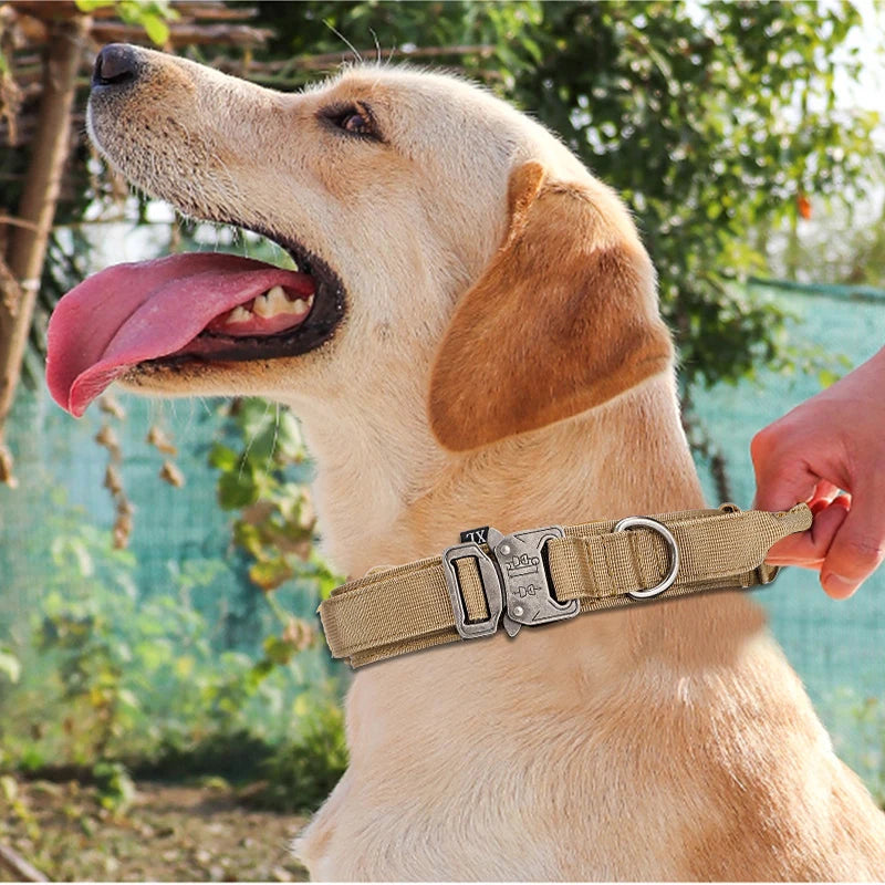 Pet Dog Collar Leash Set Nylon Material Durable Dog Collar Reflective