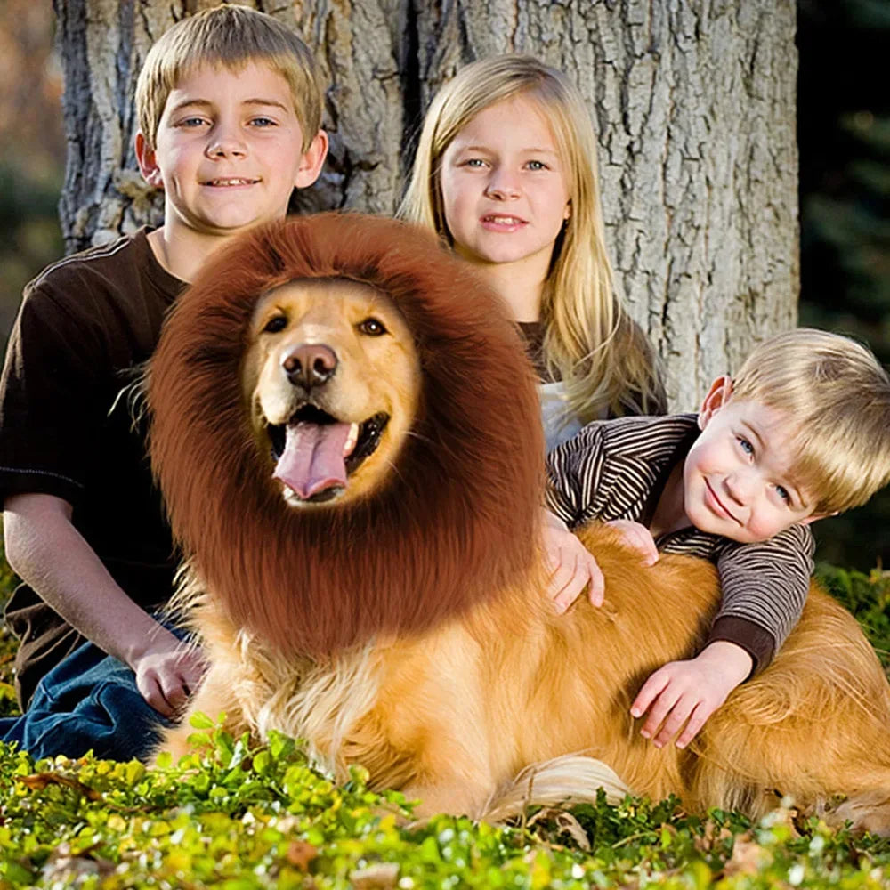 Cute Pet Dog Cosplay Clothes Lion Mane For Dog Costumes