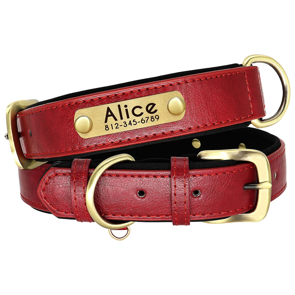 Leather Dog Collar Leash And Collar With Free Engraved Nameplate