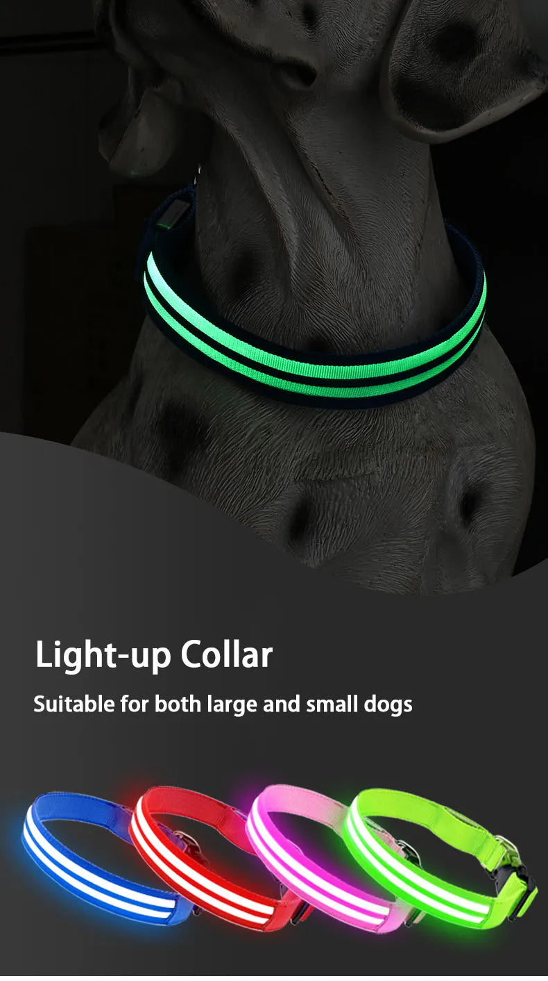 Light Up Dog Collar Night Walk Color LED Glowing