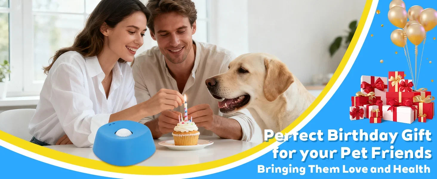 Liquid Slow Dog Bowls  Anti-slip Ball-shaped