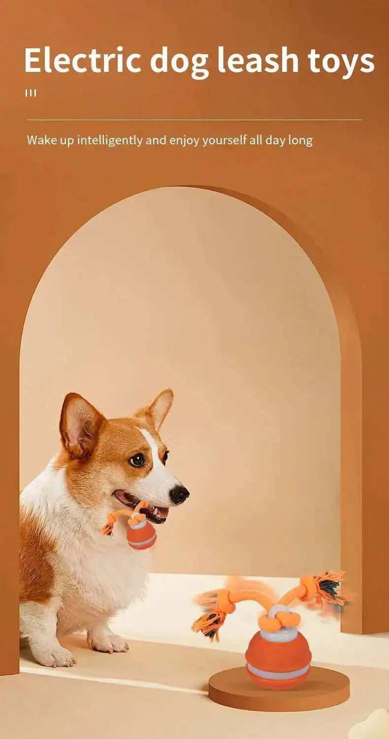 Interactive Teasing Ball With Motion Activated Automatic Moving Squeaky Dog Toy