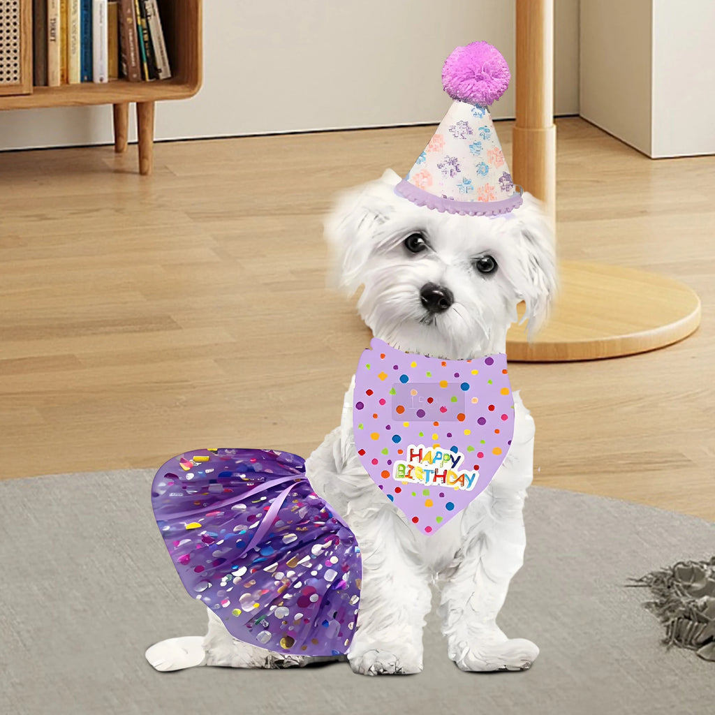 Birthday Costume Set Adorable Party Hat with Matching Skirt and Scarf