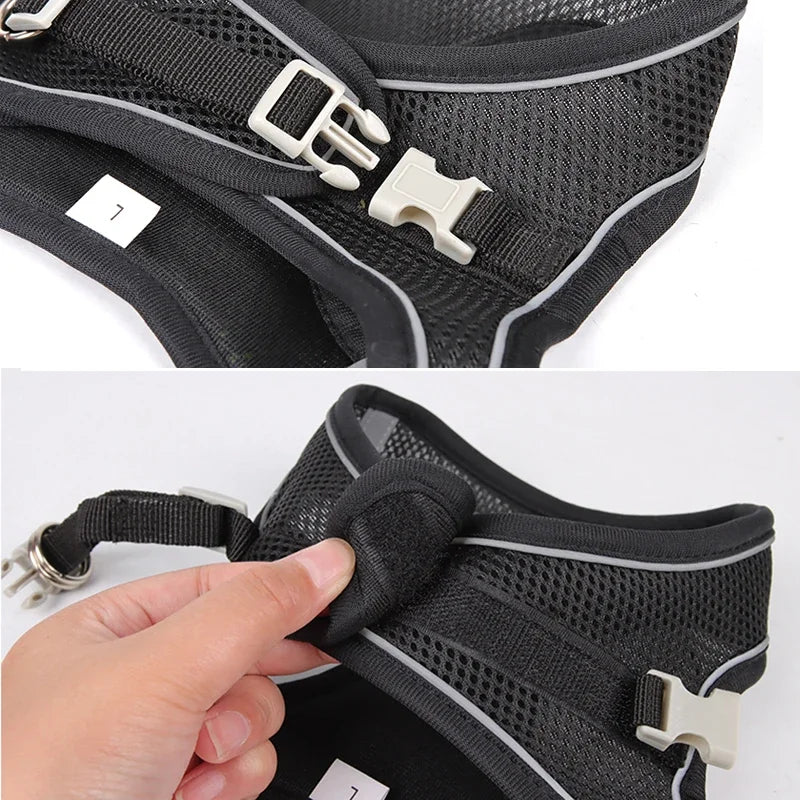 Adjustable Harness for  Puppy or Cat