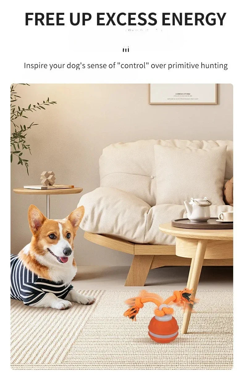 Pet Ball for Dogs Interactive Motion Activate Rolling Ball.