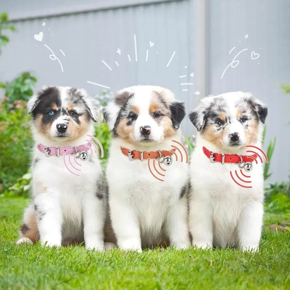 Adjustable Teacup Dog Collar for Small, Medium, and Large Dogs