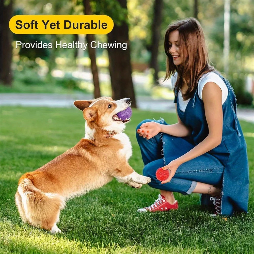 6pcs Dog Toy Balls, BPA Free Non-Toxic Plastic, Durable Spikey