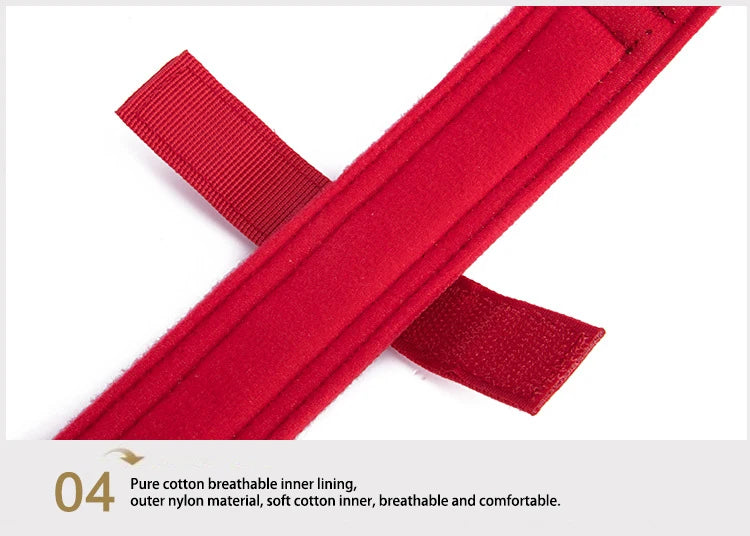 Pet Dog Collar Leash Set Nylon Material Durable Dog Collar Reflective