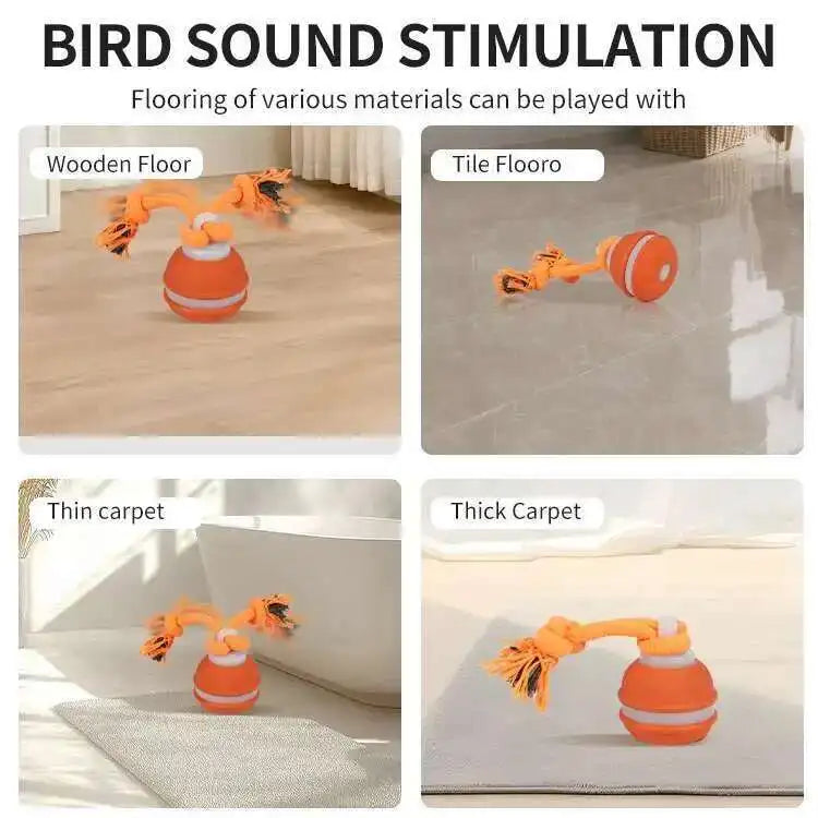 Interactive Teasing Ball With Motion Activated Automatic Moving Squeaky Dog Toy
