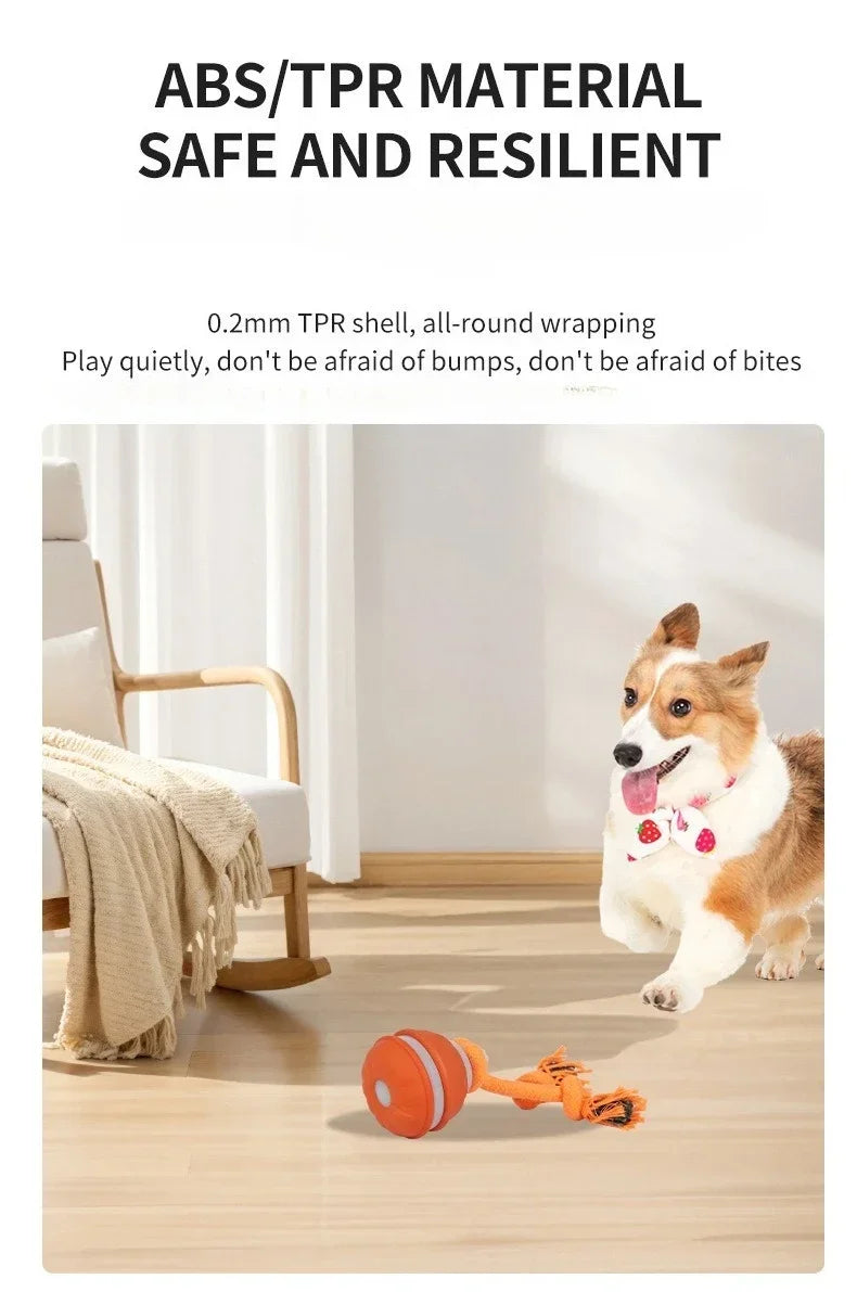 Pet Ball for Dogs Interactive Motion Activate Rolling Ball.