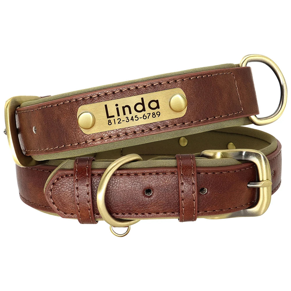 Leather Dog Collar Leash And Collar With Free Engraved Nameplate