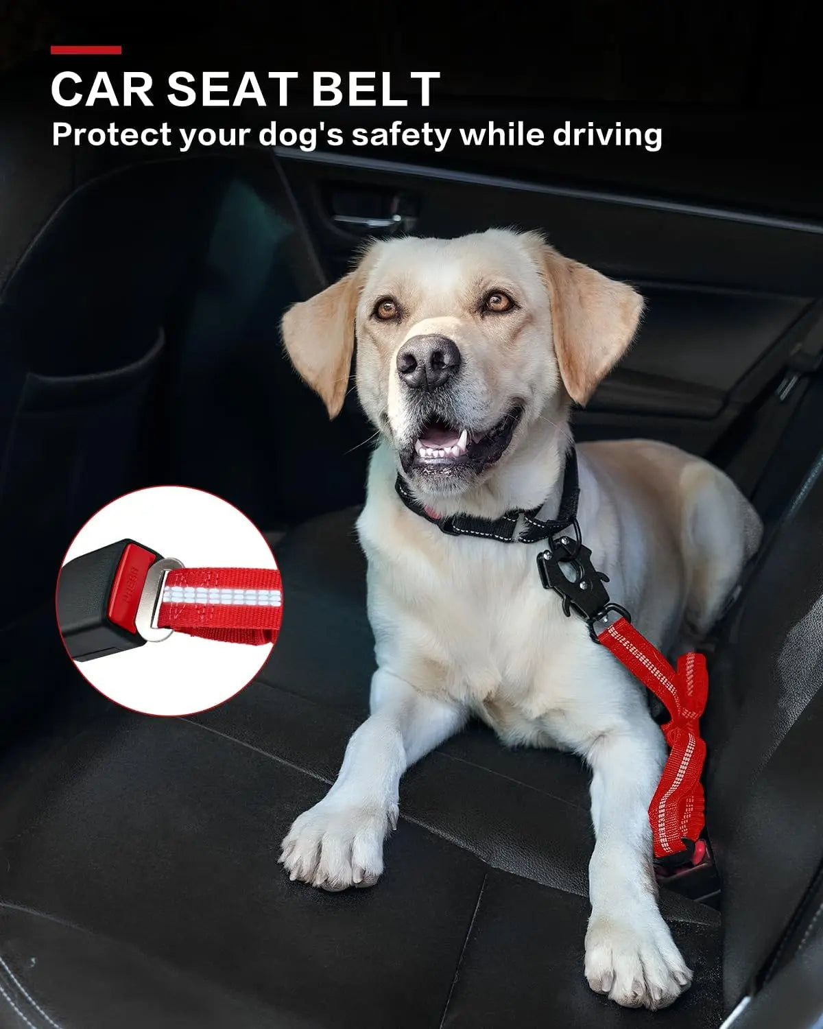 Tactical Shock Absorbing Bungee Dog Leash, 4-6FT