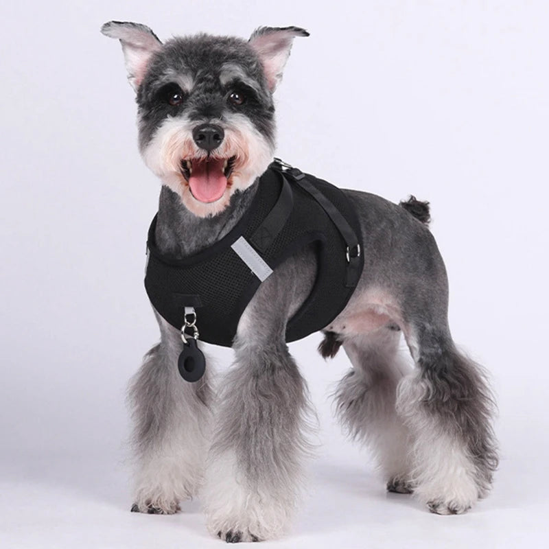 Pet Harness With Airtag Tracker And Leash Sets