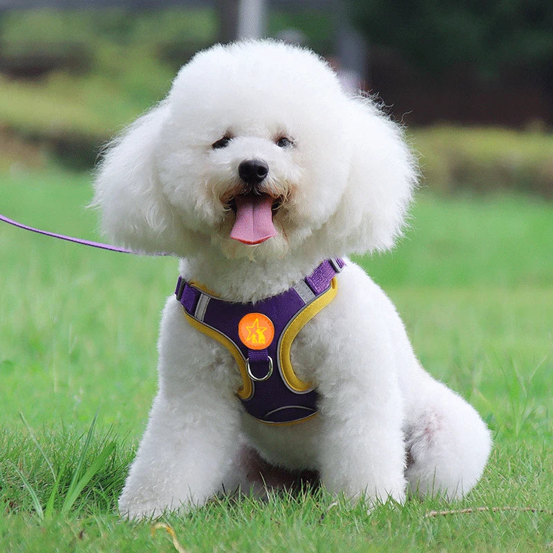 Small Medium Dogs Harness Vest Walking Traction Rope Reflective Straps.