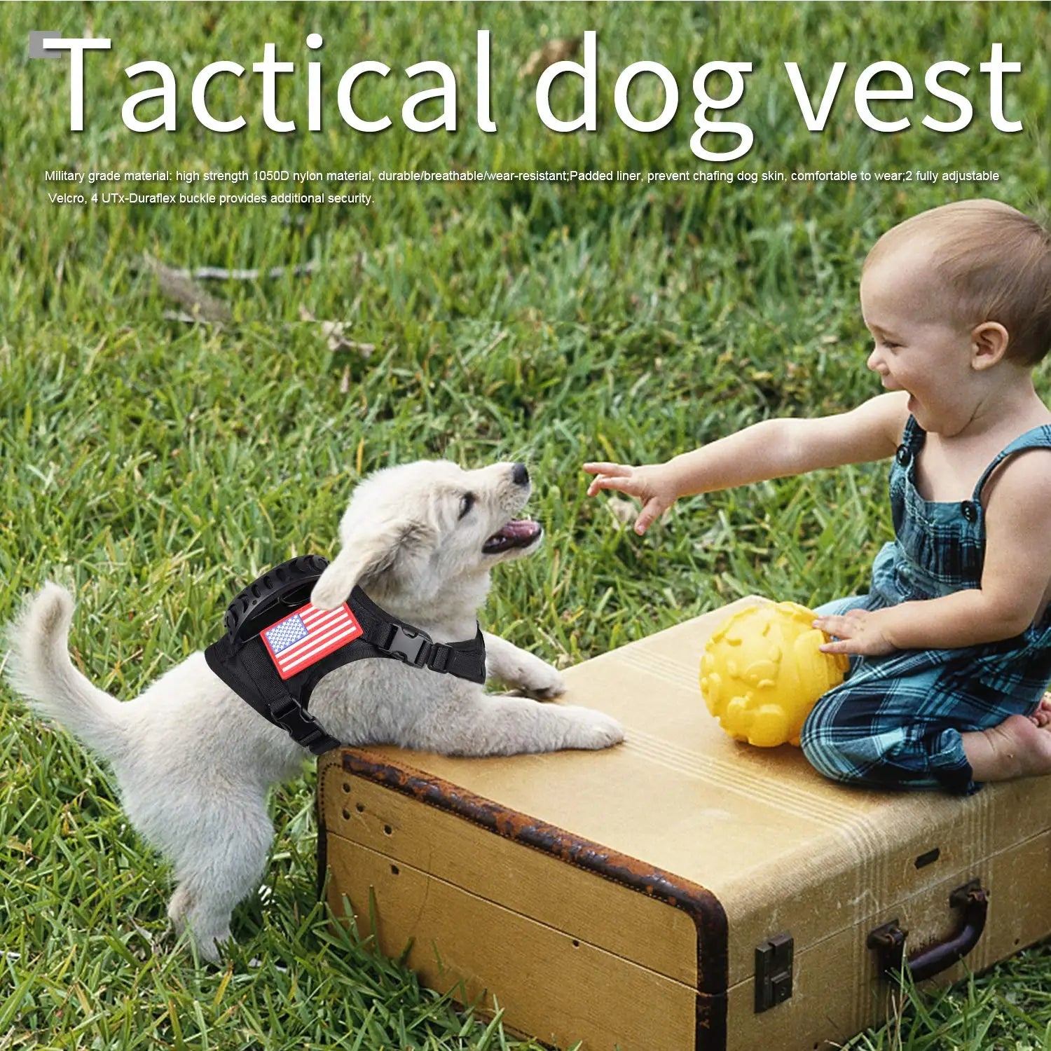 Tactical Puppy Harness Leash Set For Small Dogs