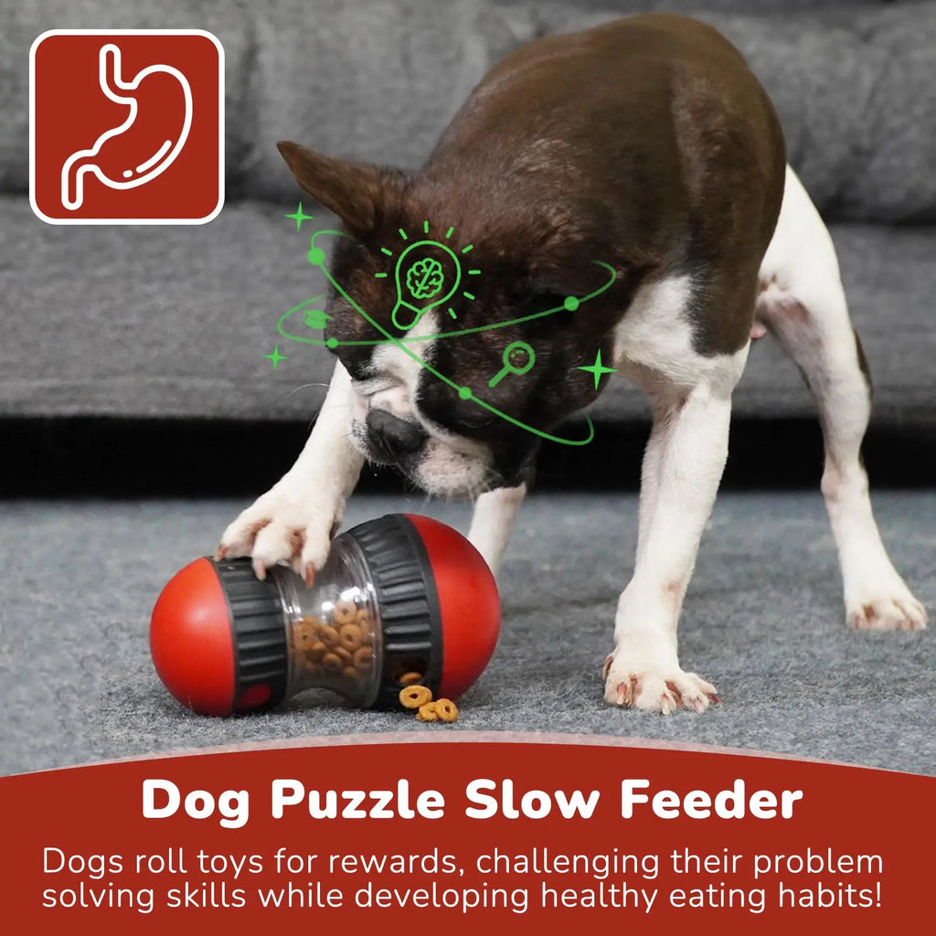 Dog Puzzle Toy Elliptical Track Rolling Increase Intelligence Ball