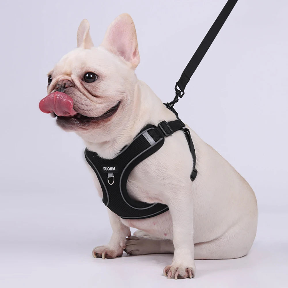 Classic Soft Dog Harness and Leash Set, Breathable Mesh Comfort Vest.  Reflective Dog Harness