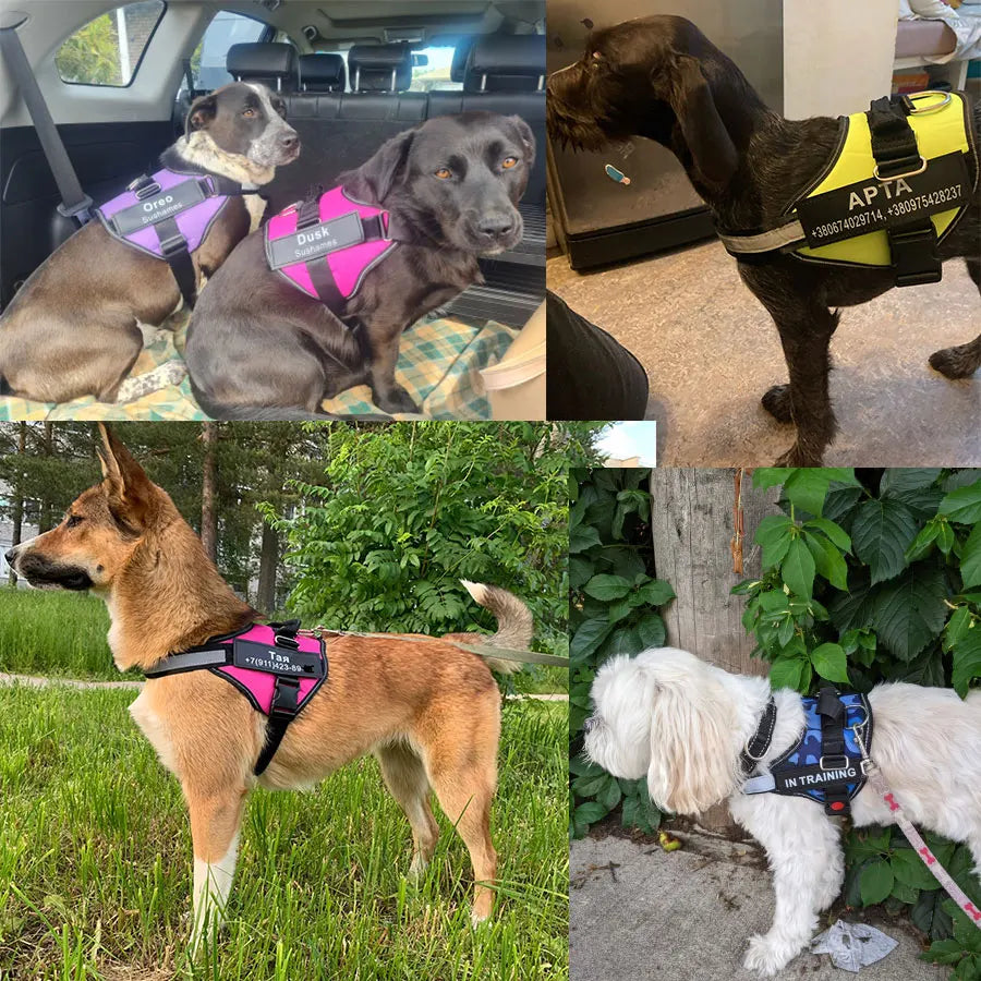 Dog Harness Vest ID Patch Customized Reflective Breathable Adjustable
