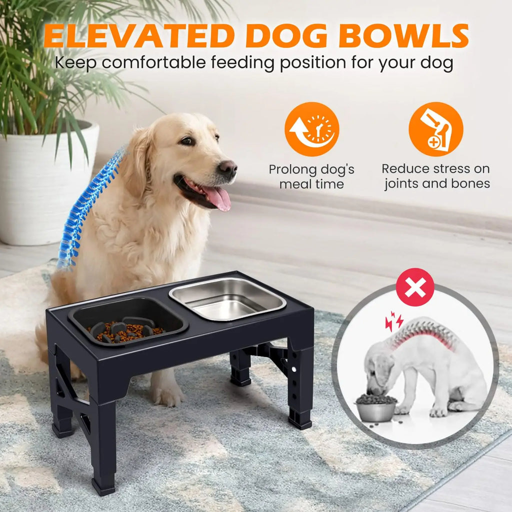 2-in-1 Elevated Slow Feeder Dog Bowls, Non-Slip Stainless Steel