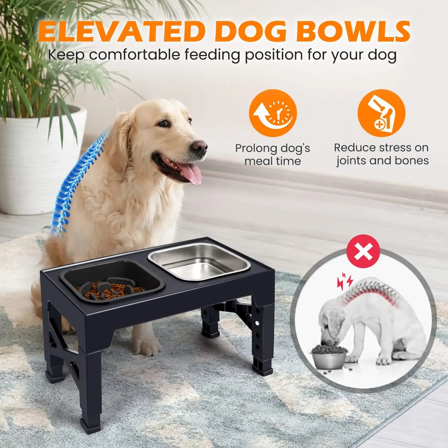 2-in-1 Elevated Slow Feeder Dog Bowls, Non-Slip Stainless Steel