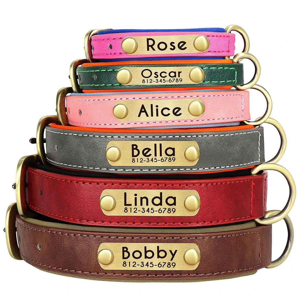 Leather Dog Collar Leash And Collar With Free Engraved Nameplate