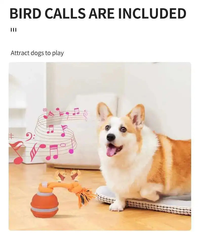 Interactive Teasing Ball With Motion Activated Automatic Moving Squeaky Dog Toy