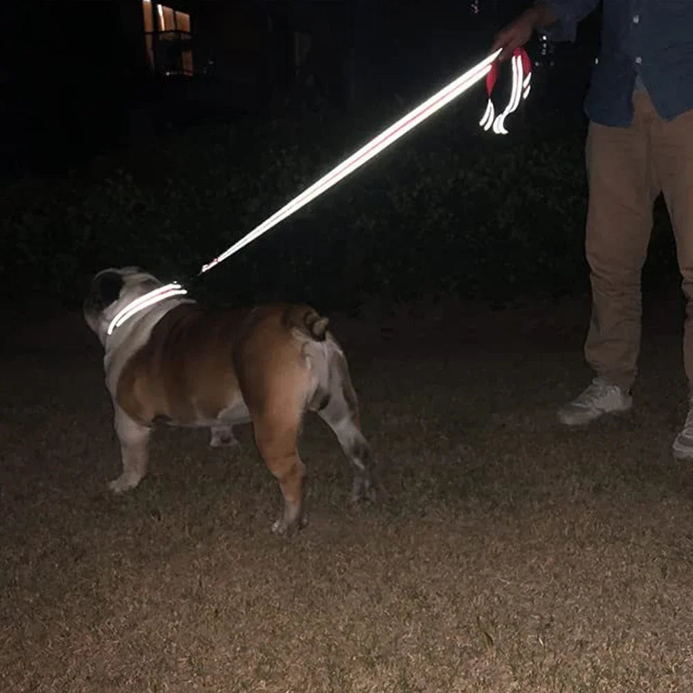Dogs And Cats Harness Collar Lead Strap Night Reflection