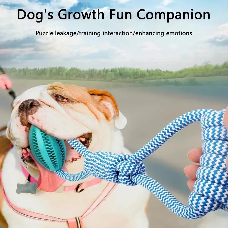 Durable Rope Dog Toy for Aggressive Chewers.