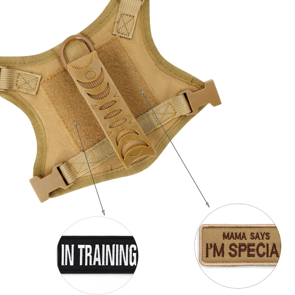 Tactical Puppy Harness Leash Set For Small Dogs
