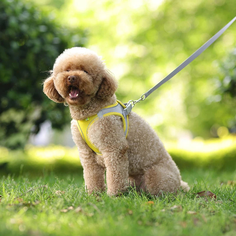 Dog Harness Leash Set for Small Dogs Adjustable