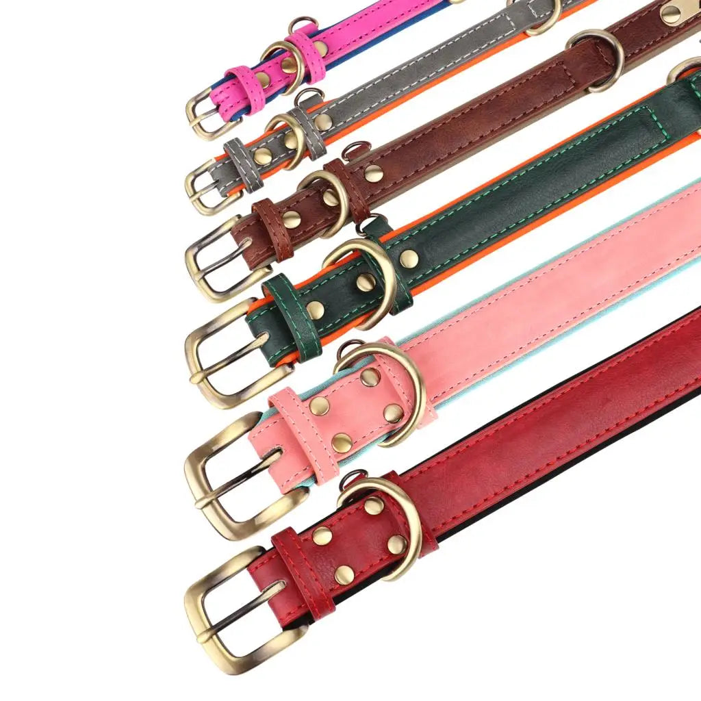 Leather Dog Collar Leash And Collar With Free Engraved Nameplate