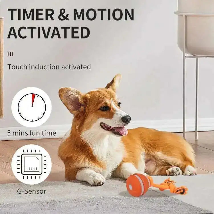 Interactive Teasing Ball With Motion Activated Automatic Moving Squeaky Dog Toy
