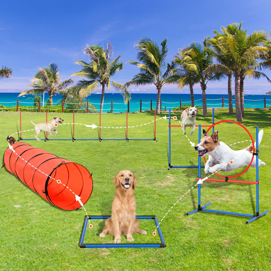 Dog Agility Training Equipment 4 PCS/5 PCS/7 PCS Set