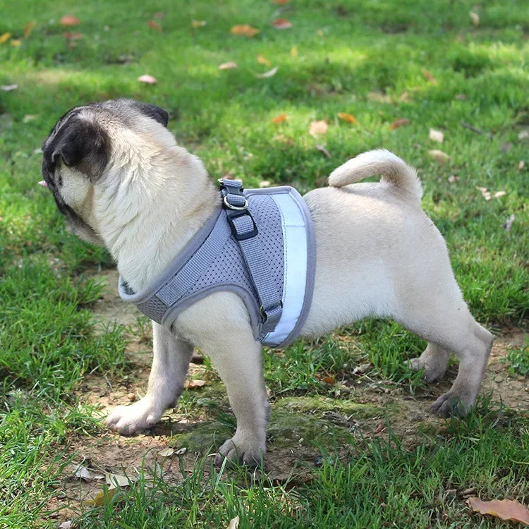 Reflective Breathable Small Dog Harness and Leash