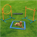 Dog Agility Training Kit Obstacle Course Starter Set