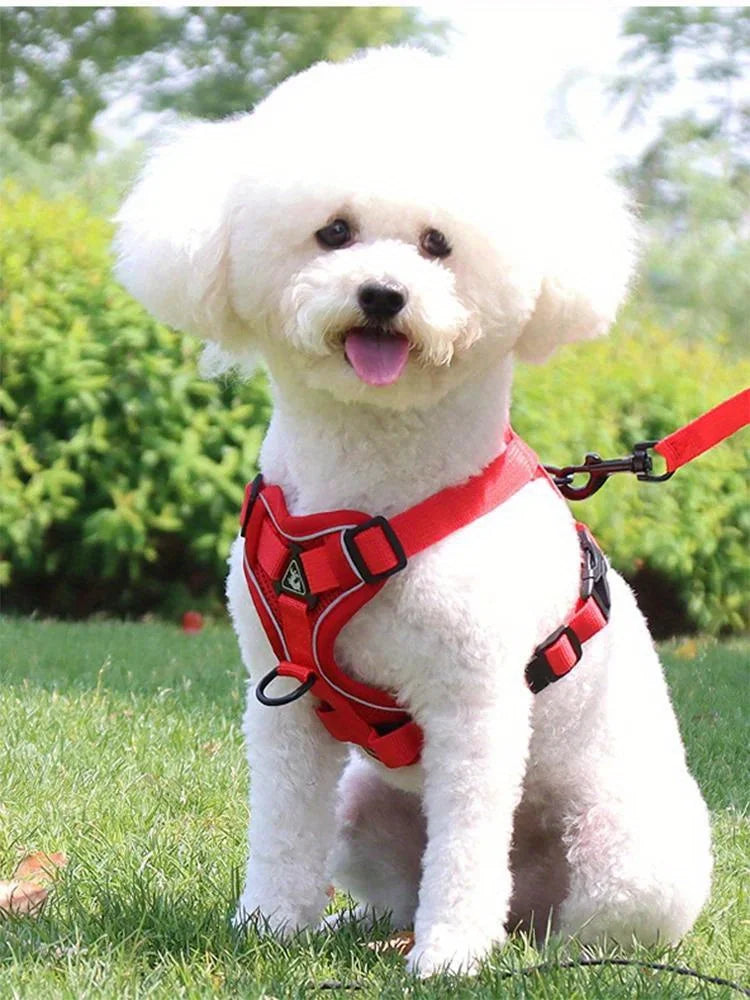 No Pull Dog Harness and Leash Set Adjustable Pet Harness Vest.