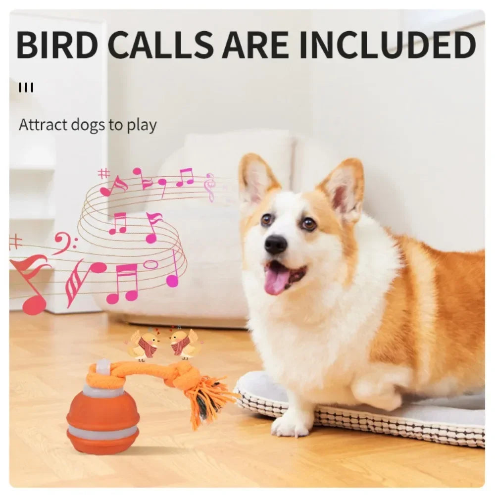 Pet Ball for Dogs Interactive Motion Activate Rolling Ball.