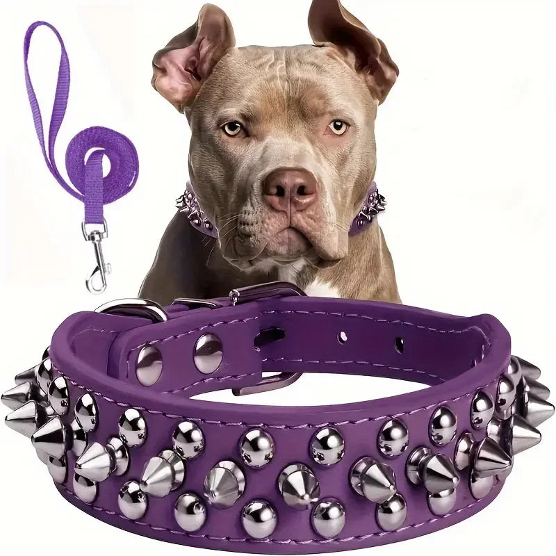 Spiked Dog Collar And Leash Set, Rivet Leather Dog Collar