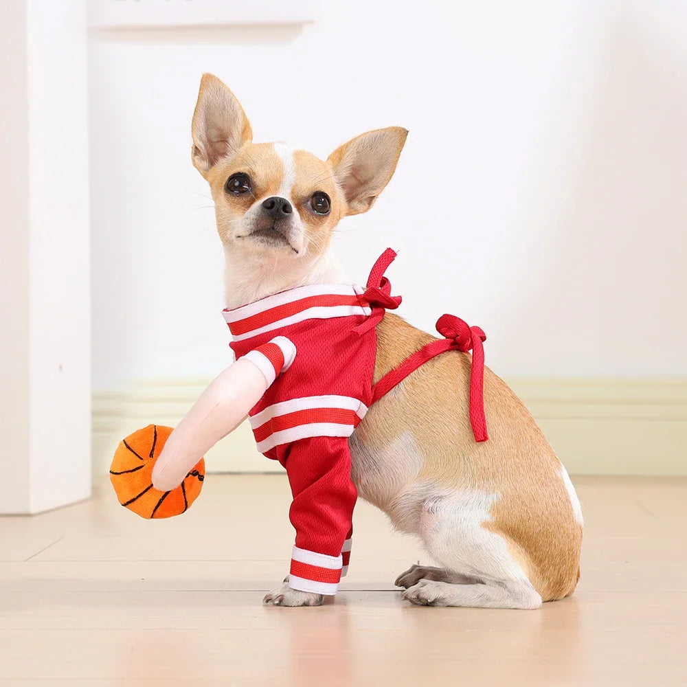 Funny Basketball Cosplay Pet Costume