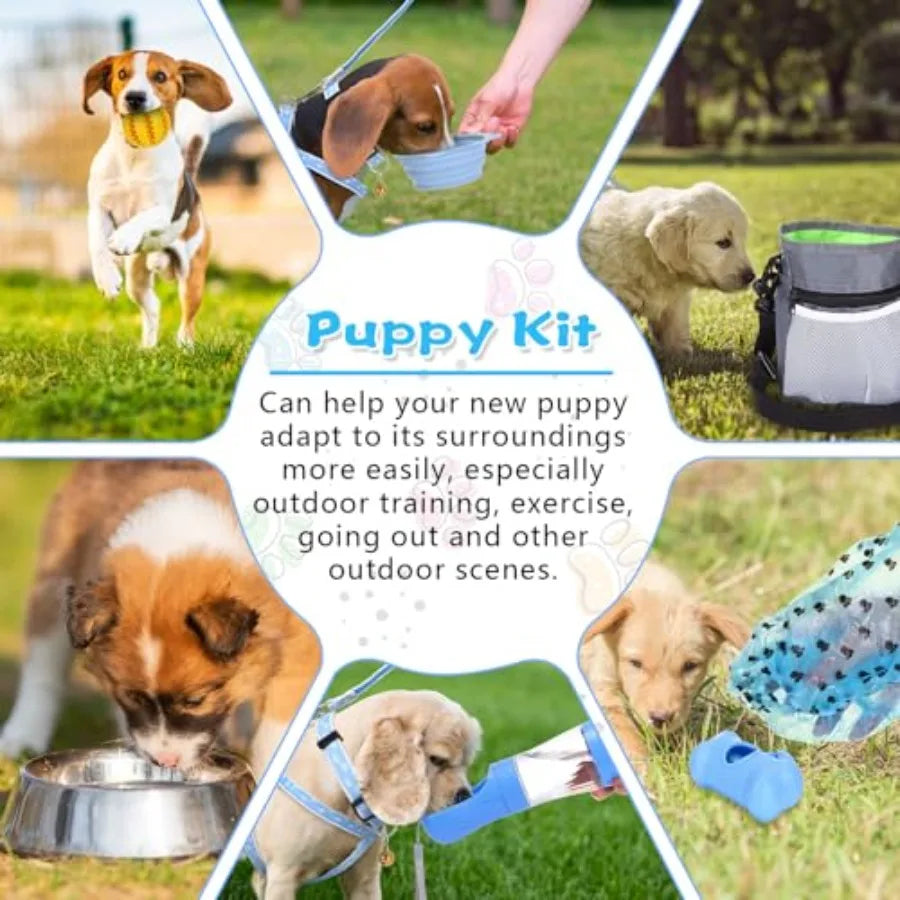 65 Pcs Puppy Supplies Starter Kit Small Dog Essentials