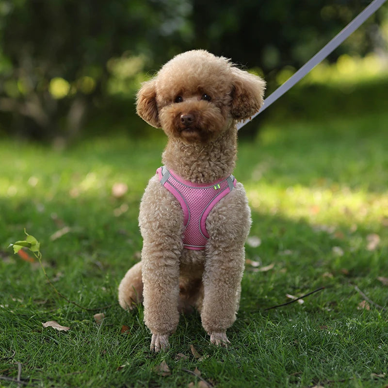 Dog Harness Leash Set for Small Dogs Adjustable