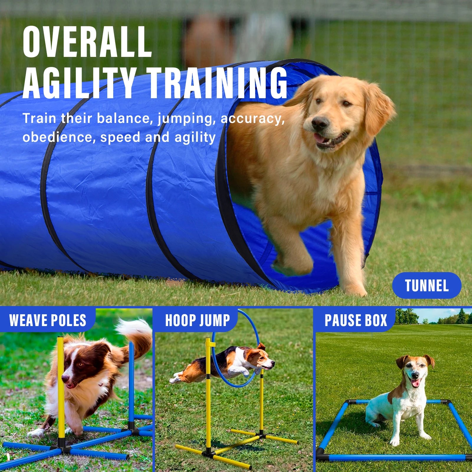 Dog Agility Course Set Dog Training Kit with 2 Tunnels.