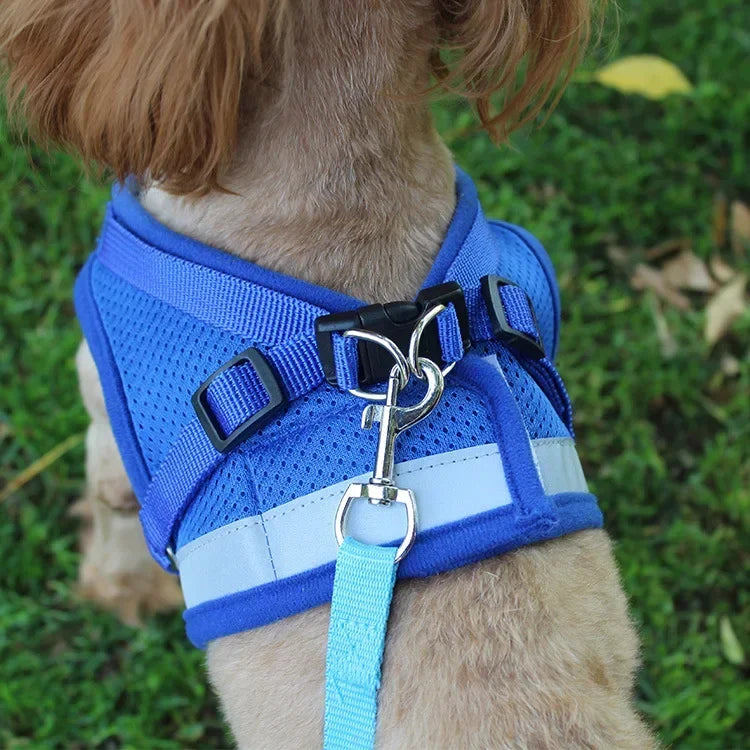 Reflective Breathable Small Dog Harness and Leash