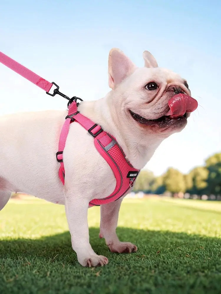 Classic Soft Dog Harness and Leash Set, Breathable Mesh Comfort Vest.  Reflective Dog Harness