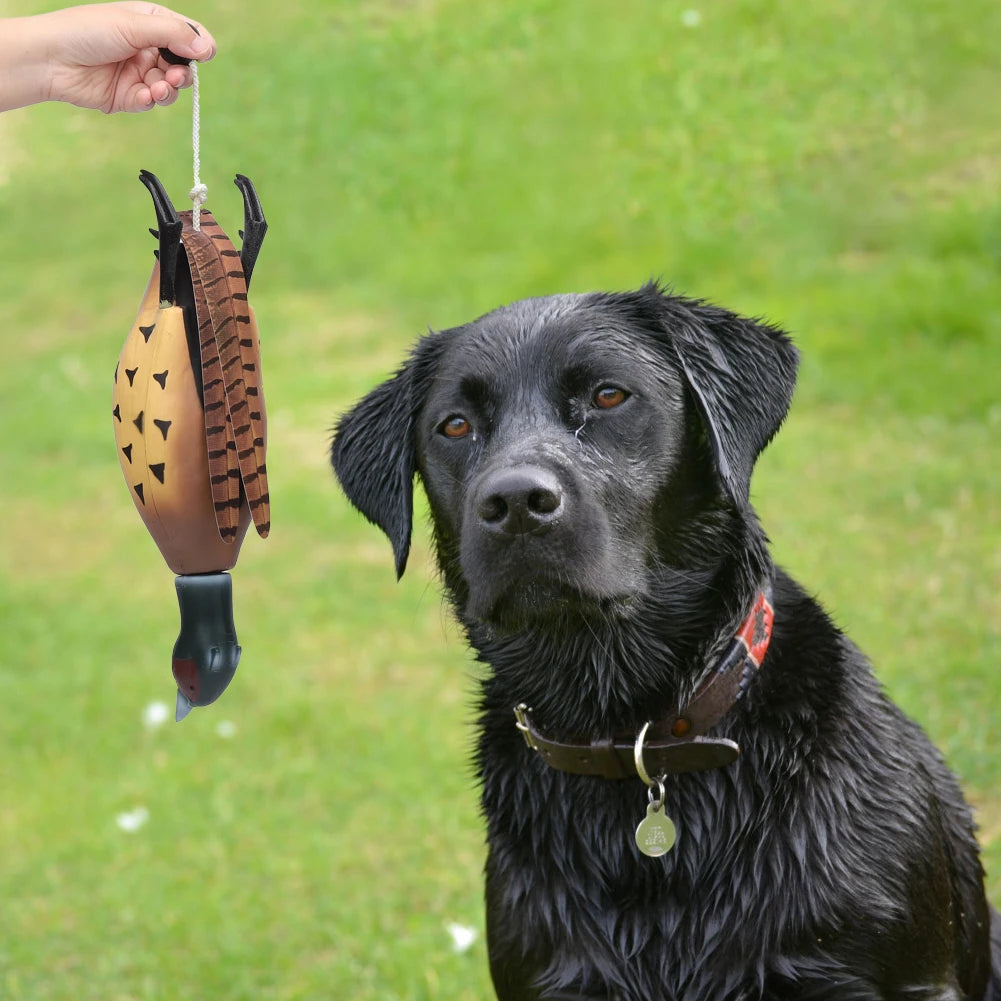 Pheasant Dummy Bumper Toy for Hunting Retriever Dog Training,H