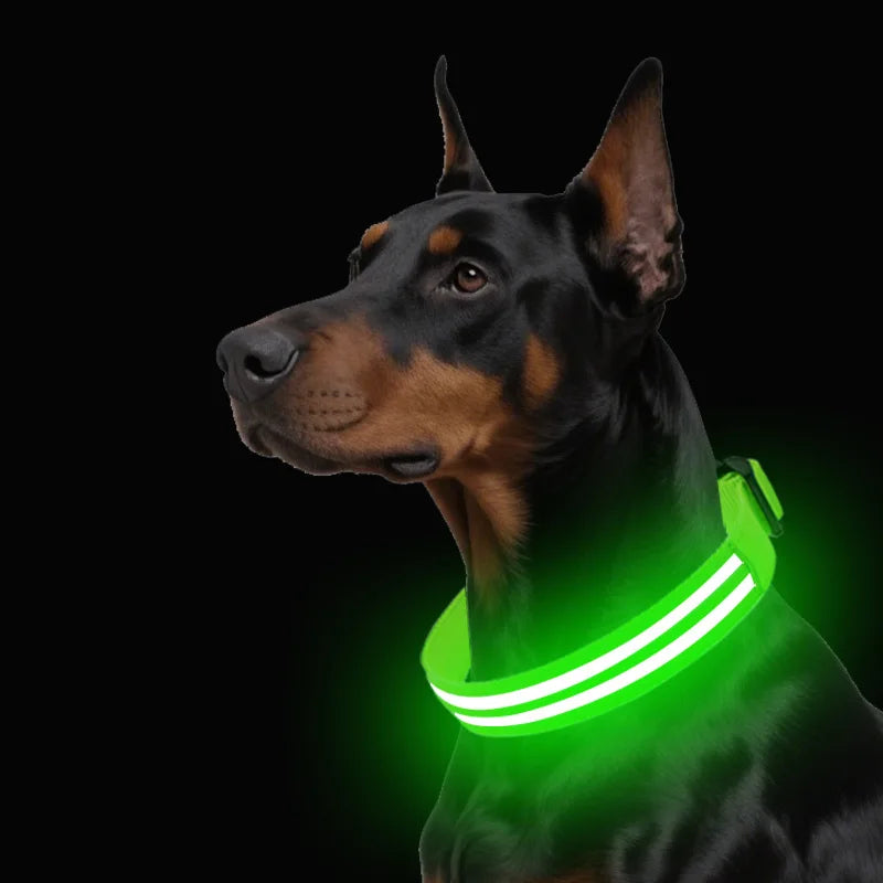 Light Up Dog Collar Night Walk Color LED Glowing